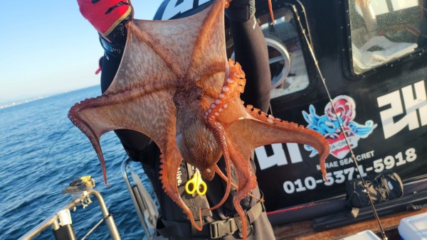 777e9e11768ed33424bed3d28028cbe0_1767519