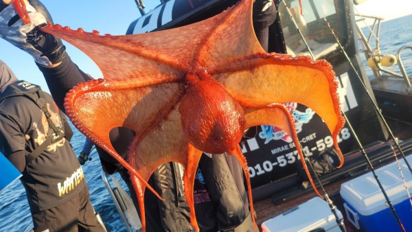 777e9e11768ed33424bed3d28028cbe0_1767519