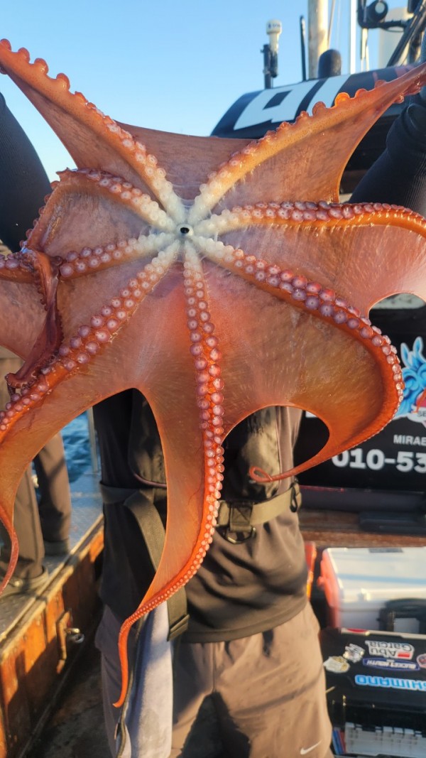 777e9e11768ed33424bed3d28028cbe0_1767519