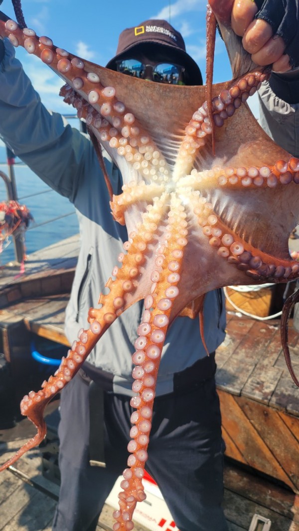 777e9e11768ed33424bed3d28028cbe0_1767519