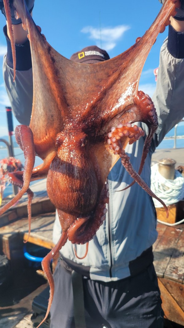 777e9e11768ed33424bed3d28028cbe0_1767519