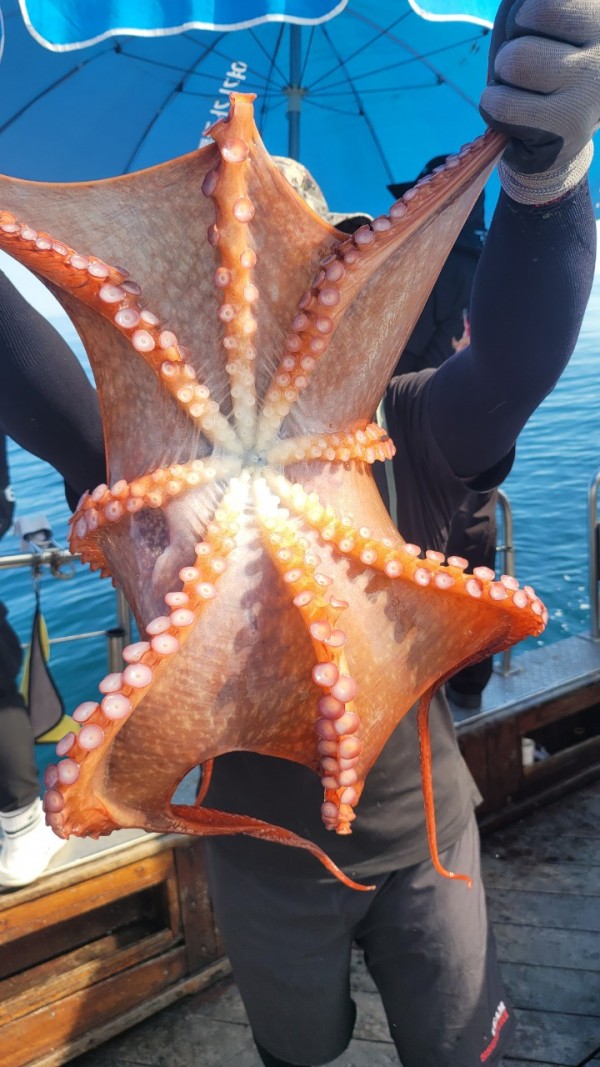 777e9e11768ed33424bed3d28028cbe0_1767519