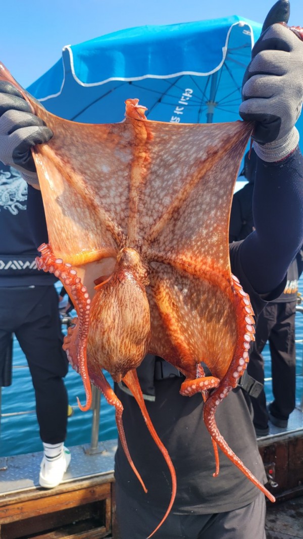 777e9e11768ed33424bed3d28028cbe0_1767519