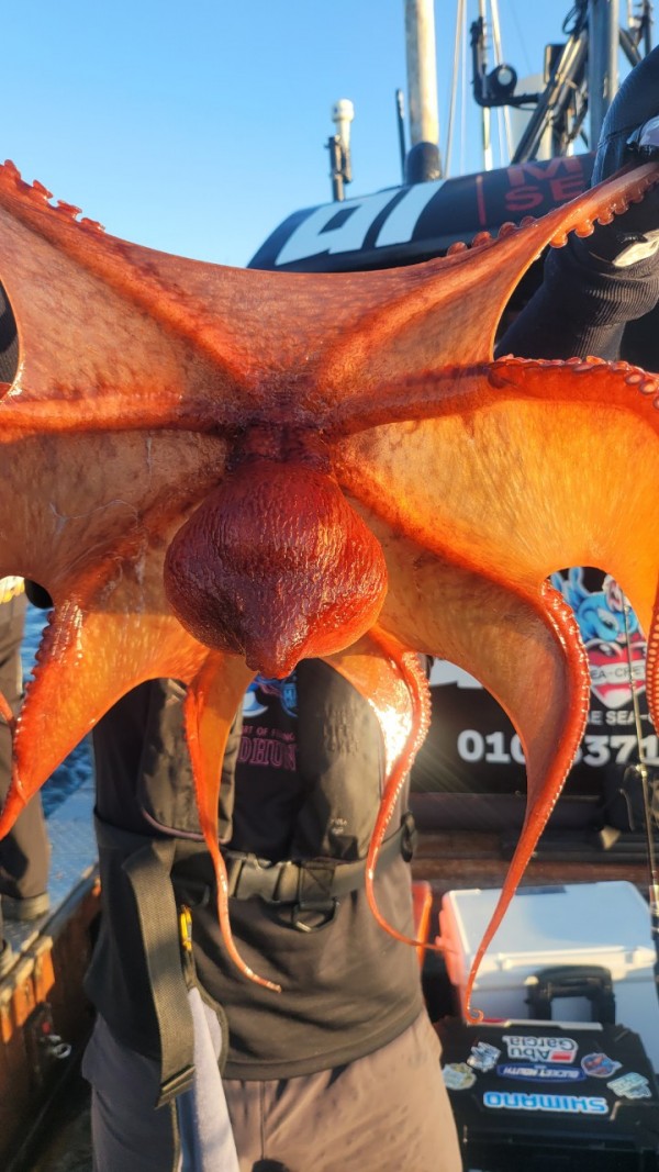 777e9e11768ed33424bed3d28028cbe0_1767519