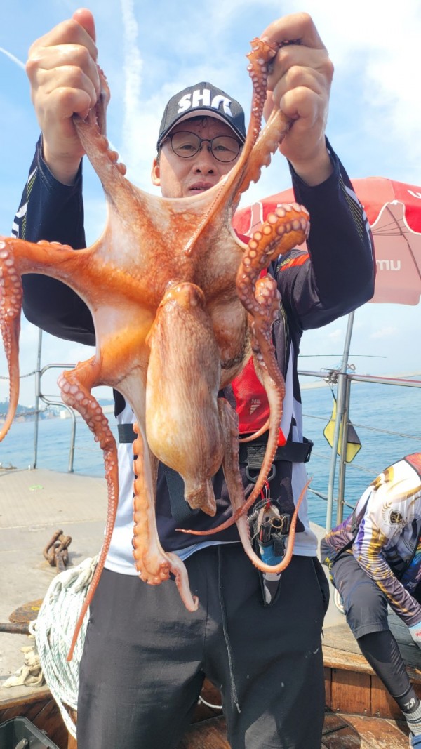 80553c8c625ec14572f710ba3dde0d65_1767514