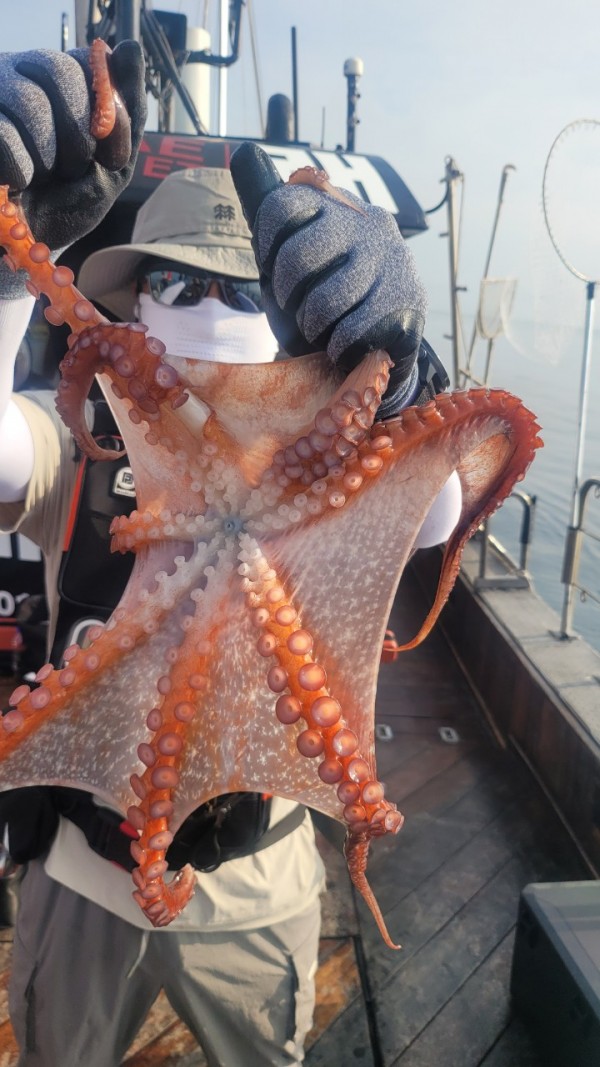 80553c8c625ec14572f710ba3dde0d65_1767514