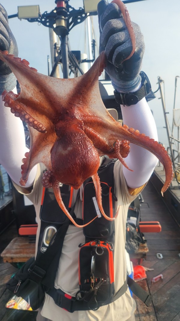 80553c8c625ec14572f710ba3dde0d65_1767514