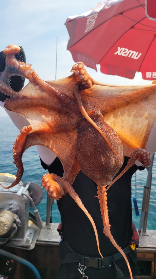 80553c8c625ec14572f710ba3dde0d65_1767514