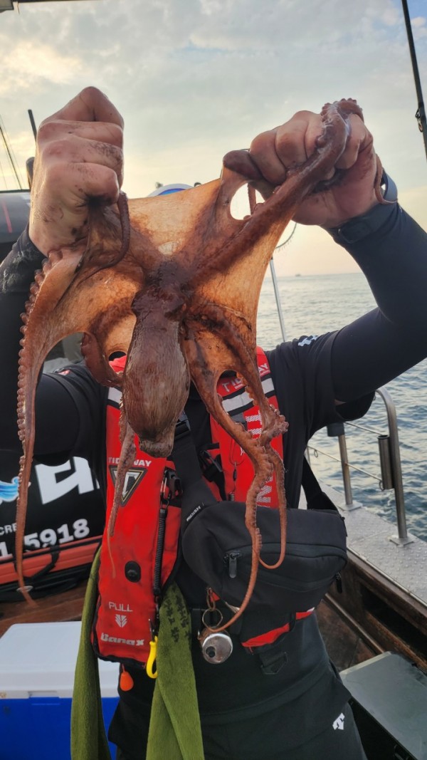 80553c8c625ec14572f710ba3dde0d65_1767514