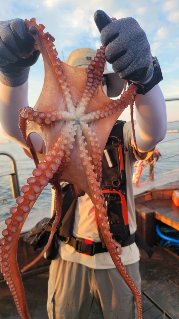 80553c8c625ec14572f710ba3dde0d65_1767514