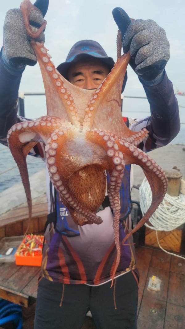 80553c8c625ec14572f710ba3dde0d65_1767514