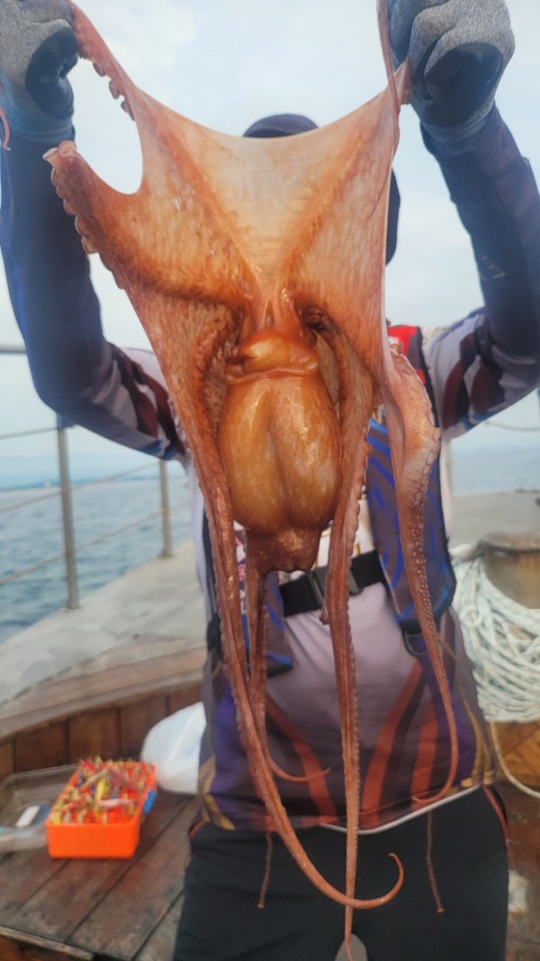 80553c8c625ec14572f710ba3dde0d65_1767514