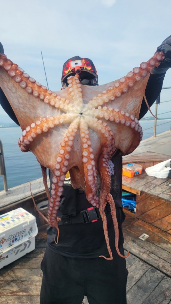 80553c8c625ec14572f710ba3dde0d65_1767514