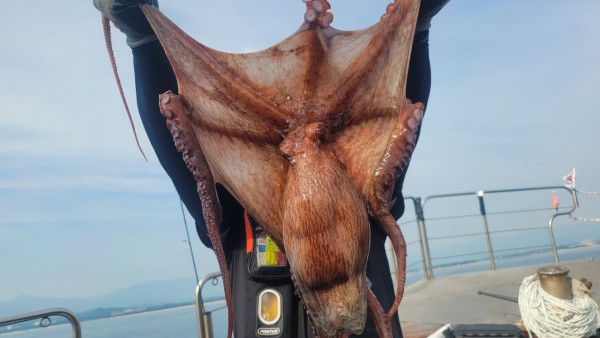 80553c8c625ec14572f710ba3dde0d65_1767514