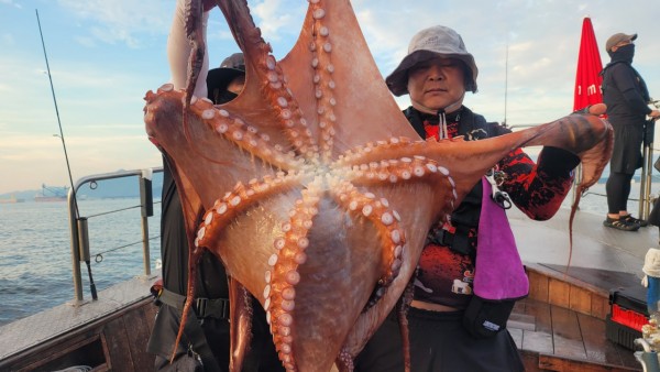 80553c8c625ec14572f710ba3dde0d65_1767514