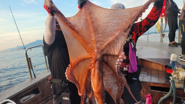 80553c8c625ec14572f710ba3dde0d65_1767514