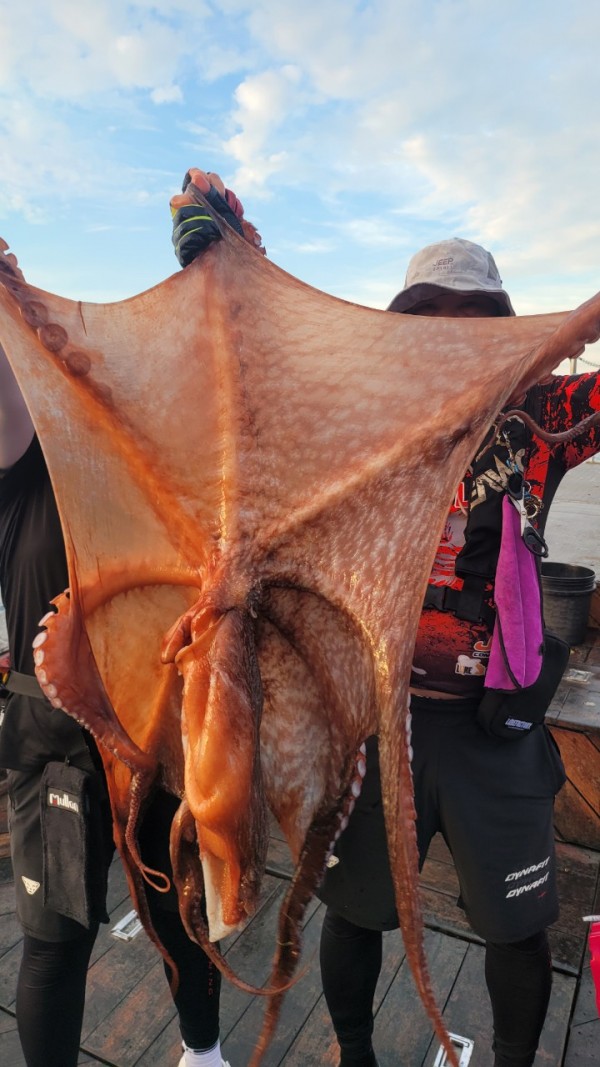 80553c8c625ec14572f710ba3dde0d65_1767514