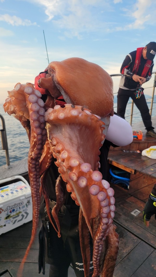 80553c8c625ec14572f710ba3dde0d65_1767514