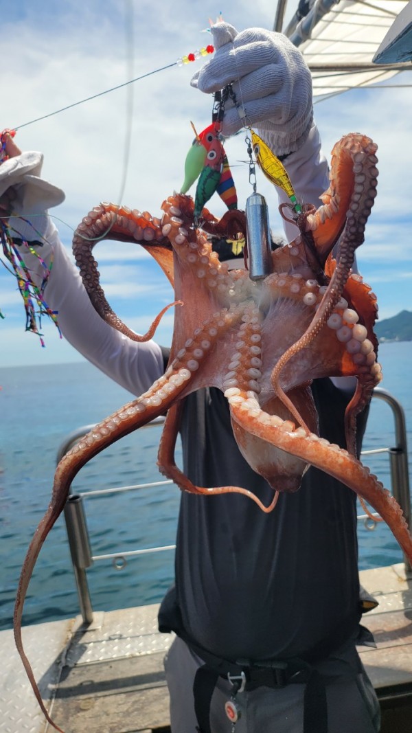 83cc1b09550adae75983b428f40134c8_1767511