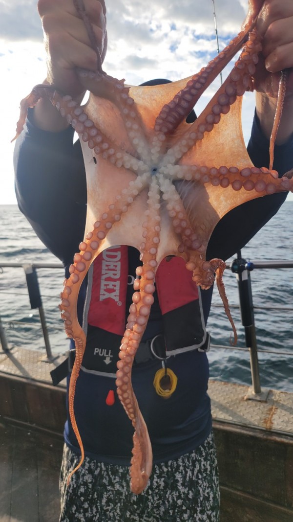 83cc1b09550adae75983b428f40134c8_1767511