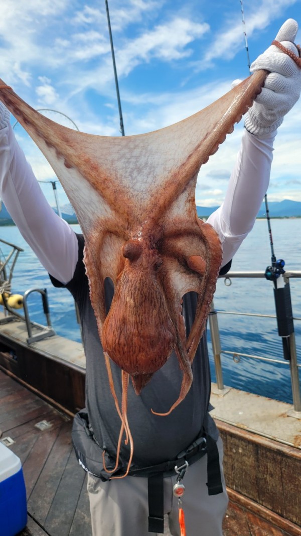 83cc1b09550adae75983b428f40134c8_1767511