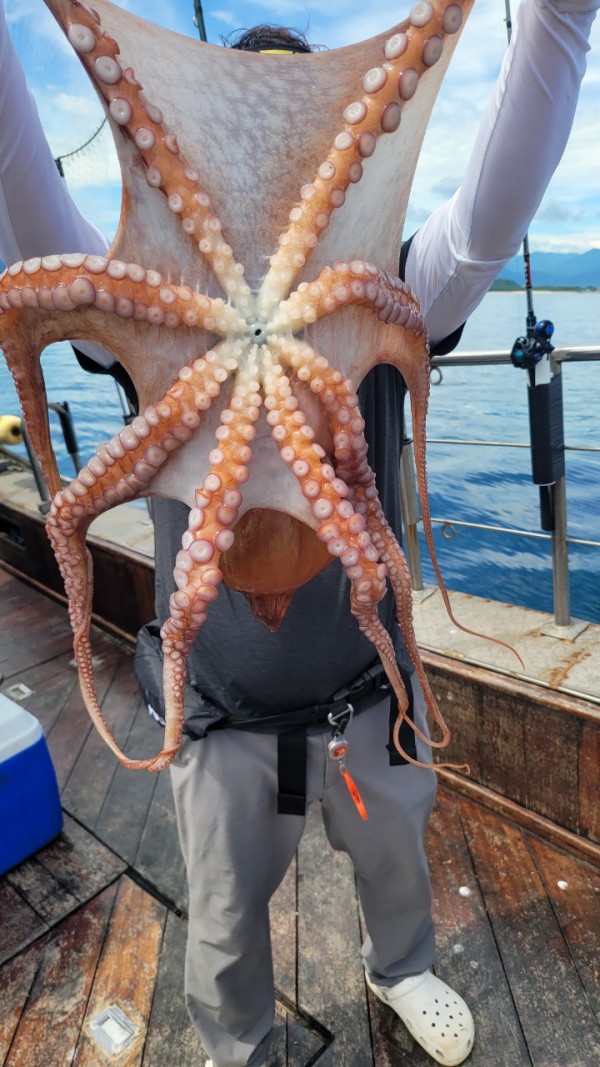 83cc1b09550adae75983b428f40134c8_1767511