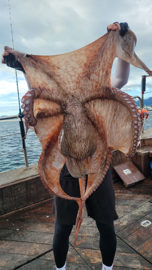 83cc1b09550adae75983b428f40134c8_1767511