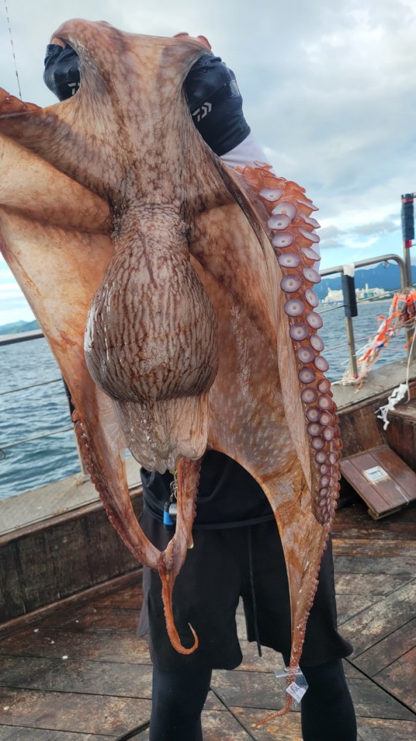 83cc1b09550adae75983b428f40134c8_1767511