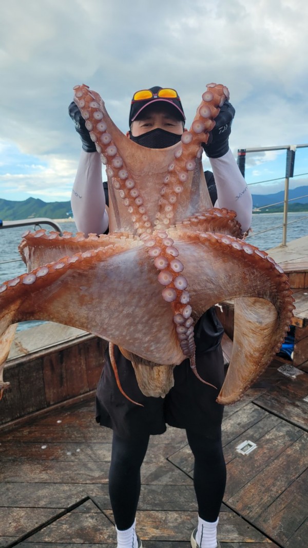 83cc1b09550adae75983b428f40134c8_1767511