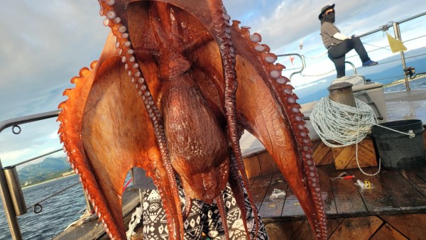 83cc1b09550adae75983b428f40134c8_1767511