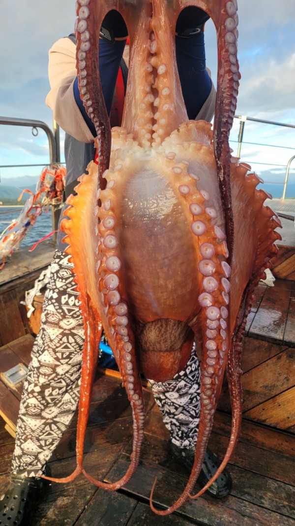 83cc1b09550adae75983b428f40134c8_1767511