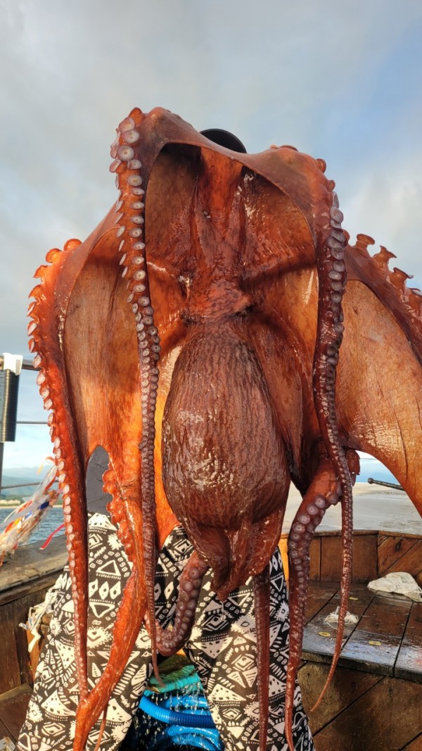 83cc1b09550adae75983b428f40134c8_1767511