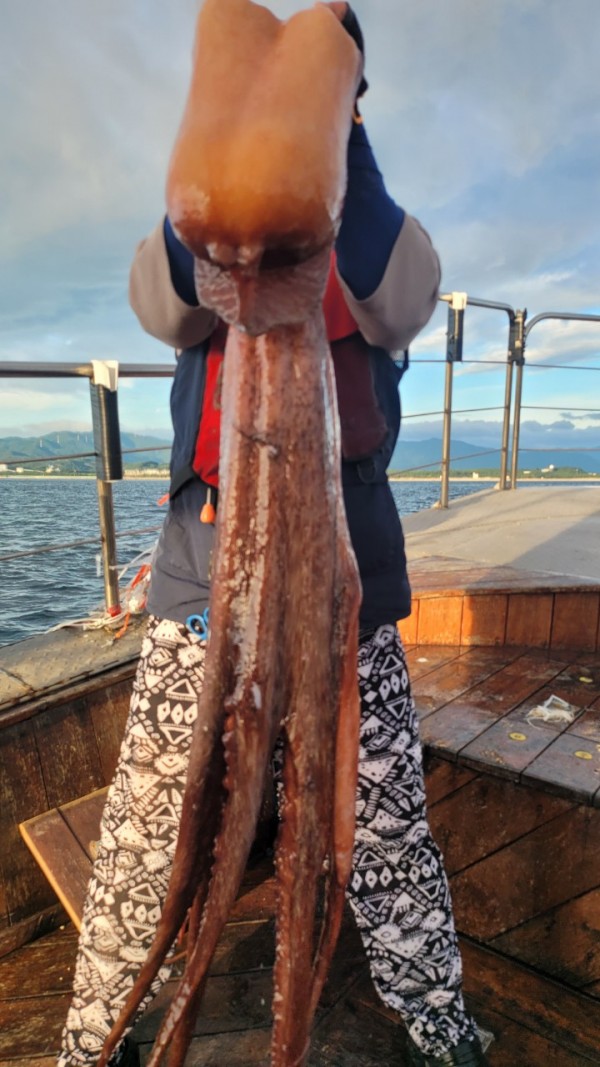 83cc1b09550adae75983b428f40134c8_1767511