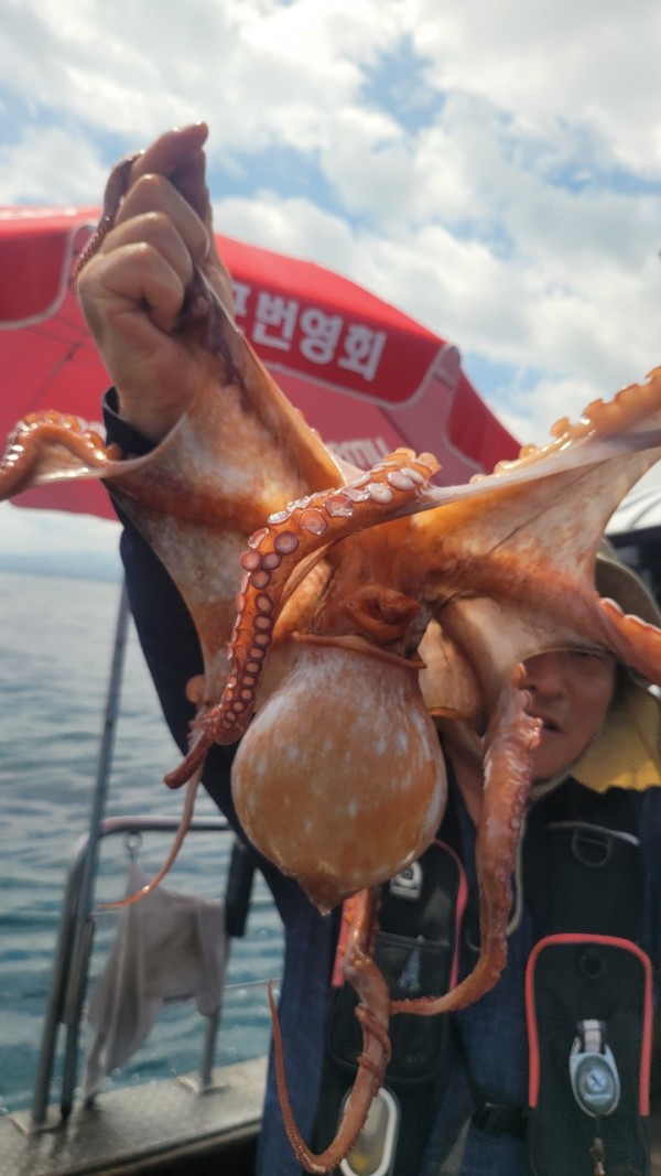 846626709b1555ff3b523bcbd3801c1c_1767517