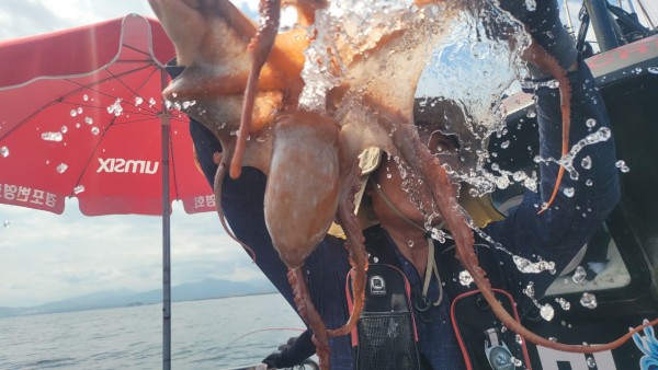 846626709b1555ff3b523bcbd3801c1c_1767517