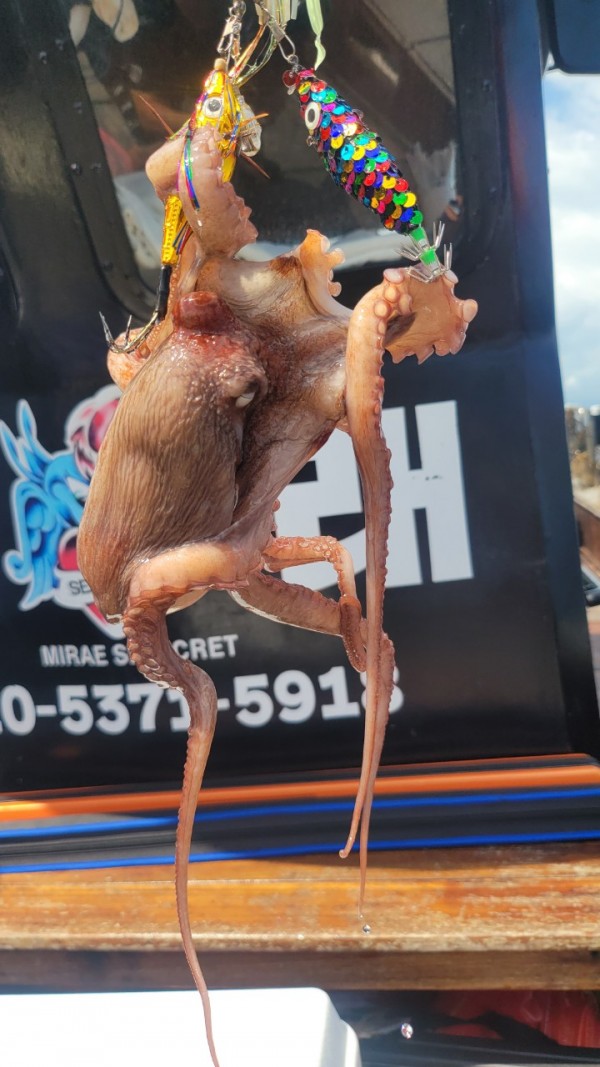 846626709b1555ff3b523bcbd3801c1c_1767517