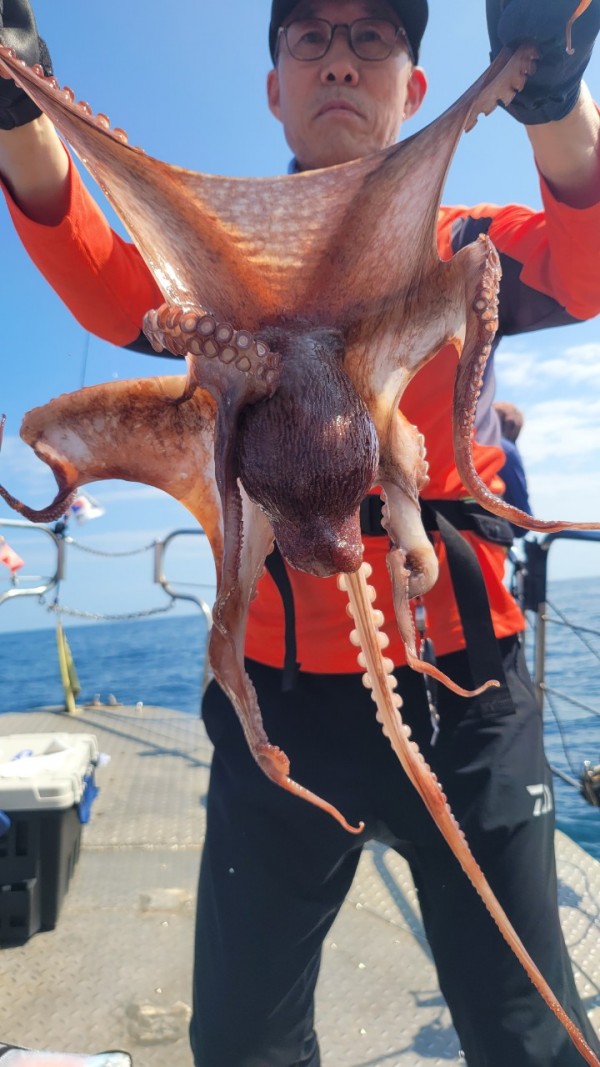 846626709b1555ff3b523bcbd3801c1c_1767517