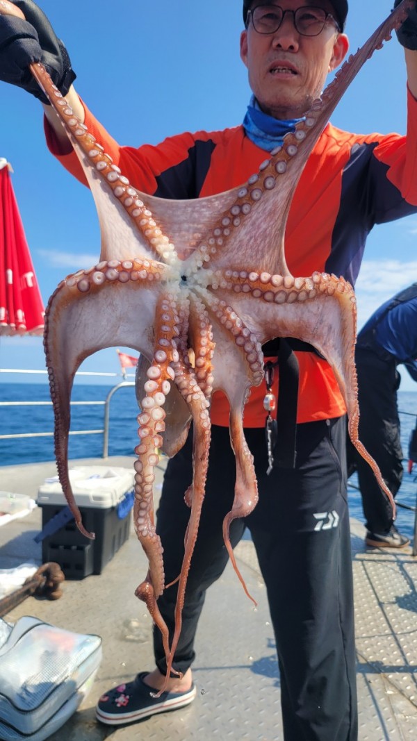 846626709b1555ff3b523bcbd3801c1c_1767517