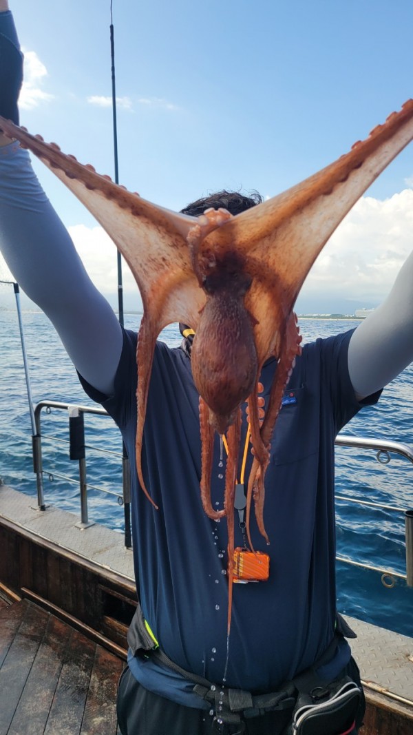 846626709b1555ff3b523bcbd3801c1c_1767517