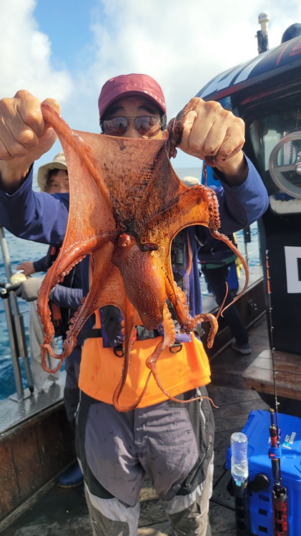 846626709b1555ff3b523bcbd3801c1c_1767517