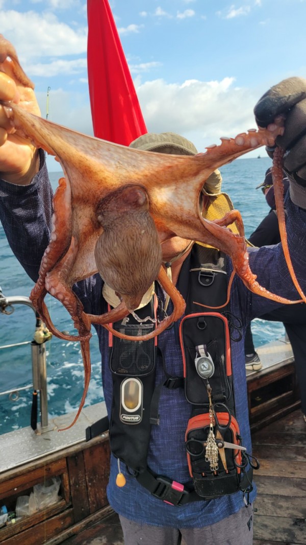 846626709b1555ff3b523bcbd3801c1c_1767517