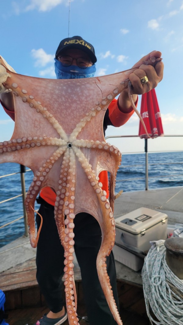 846626709b1555ff3b523bcbd3801c1c_1767517