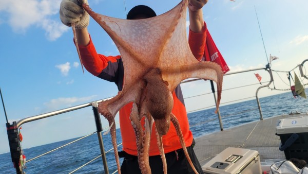 846626709b1555ff3b523bcbd3801c1c_1767517