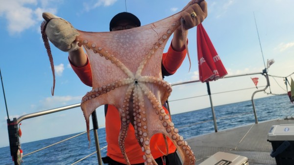 846626709b1555ff3b523bcbd3801c1c_1767517