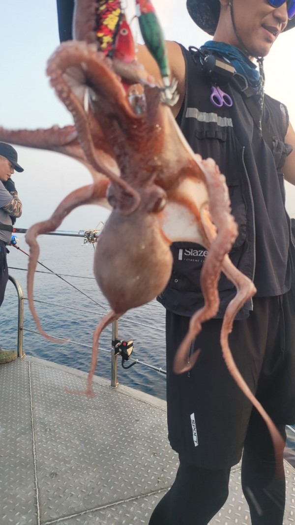 9372ae4d7b76cc4e1821bc4cbc7e804d_1767507