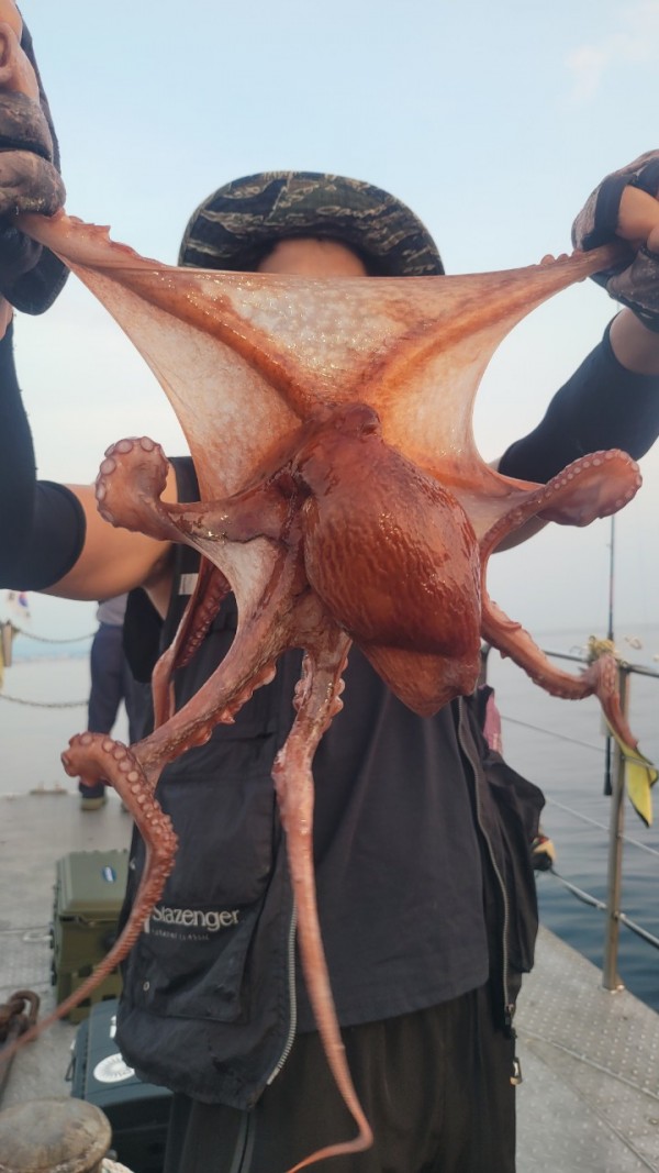 9372ae4d7b76cc4e1821bc4cbc7e804d_1767507