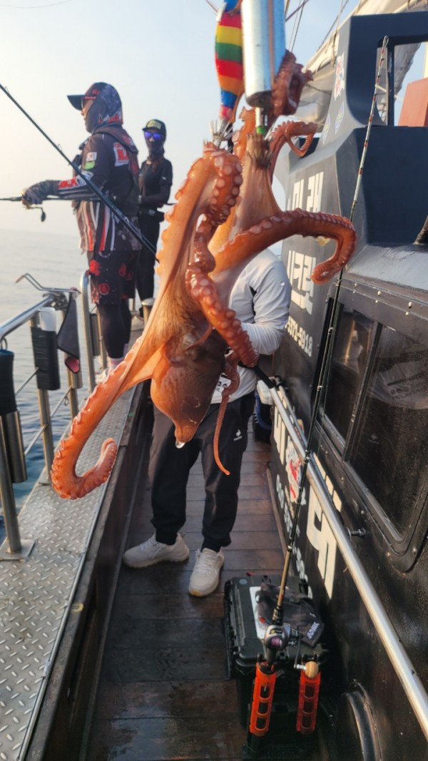 9372ae4d7b76cc4e1821bc4cbc7e804d_1767507