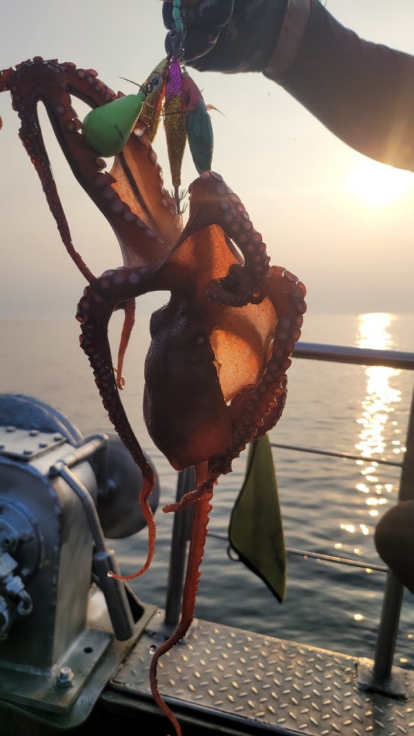 9372ae4d7b76cc4e1821bc4cbc7e804d_1767507