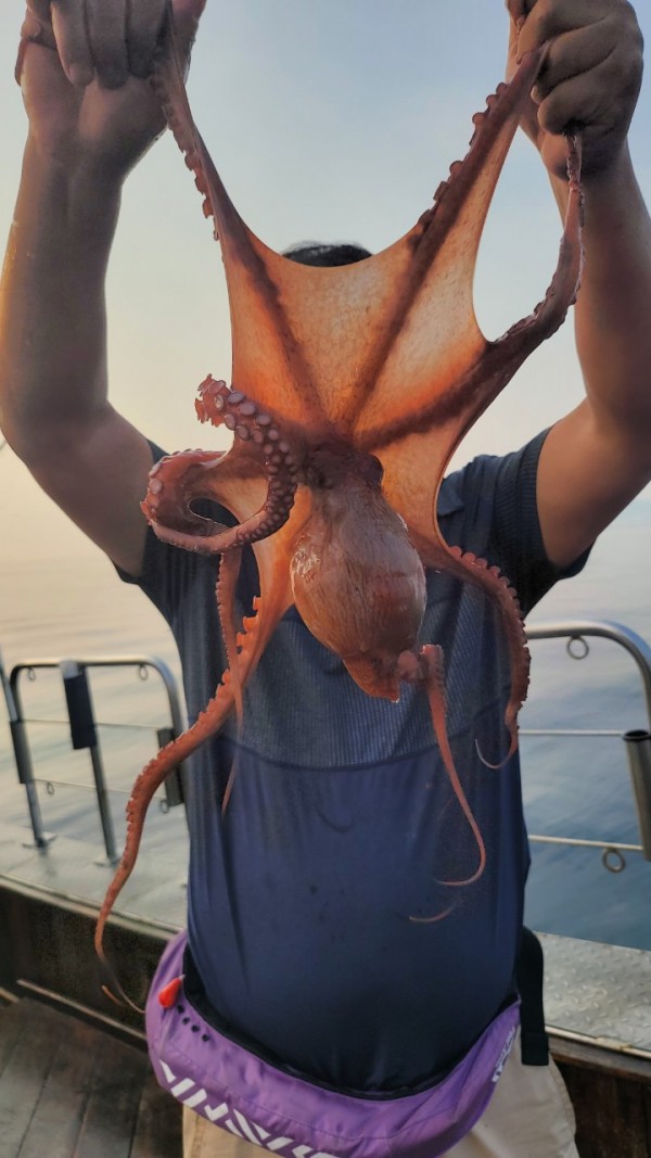 9372ae4d7b76cc4e1821bc4cbc7e804d_1767507