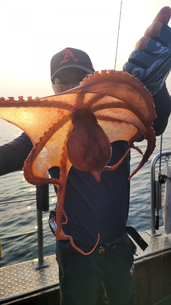 9372ae4d7b76cc4e1821bc4cbc7e804d_1767507